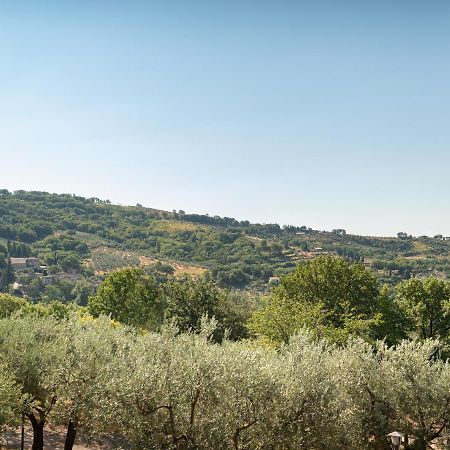 Petrignano Agriturismo La Rocca Assisi מראה חיצוני תמונה