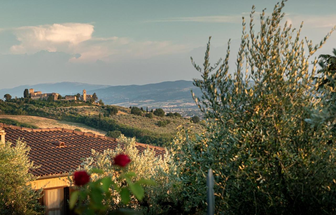 Petrignano Agriturismo La Rocca Assisi מראה חיצוני תמונה