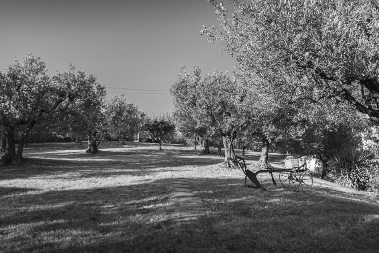 Petrignano Agriturismo La Rocca Assisi מראה חיצוני תמונה