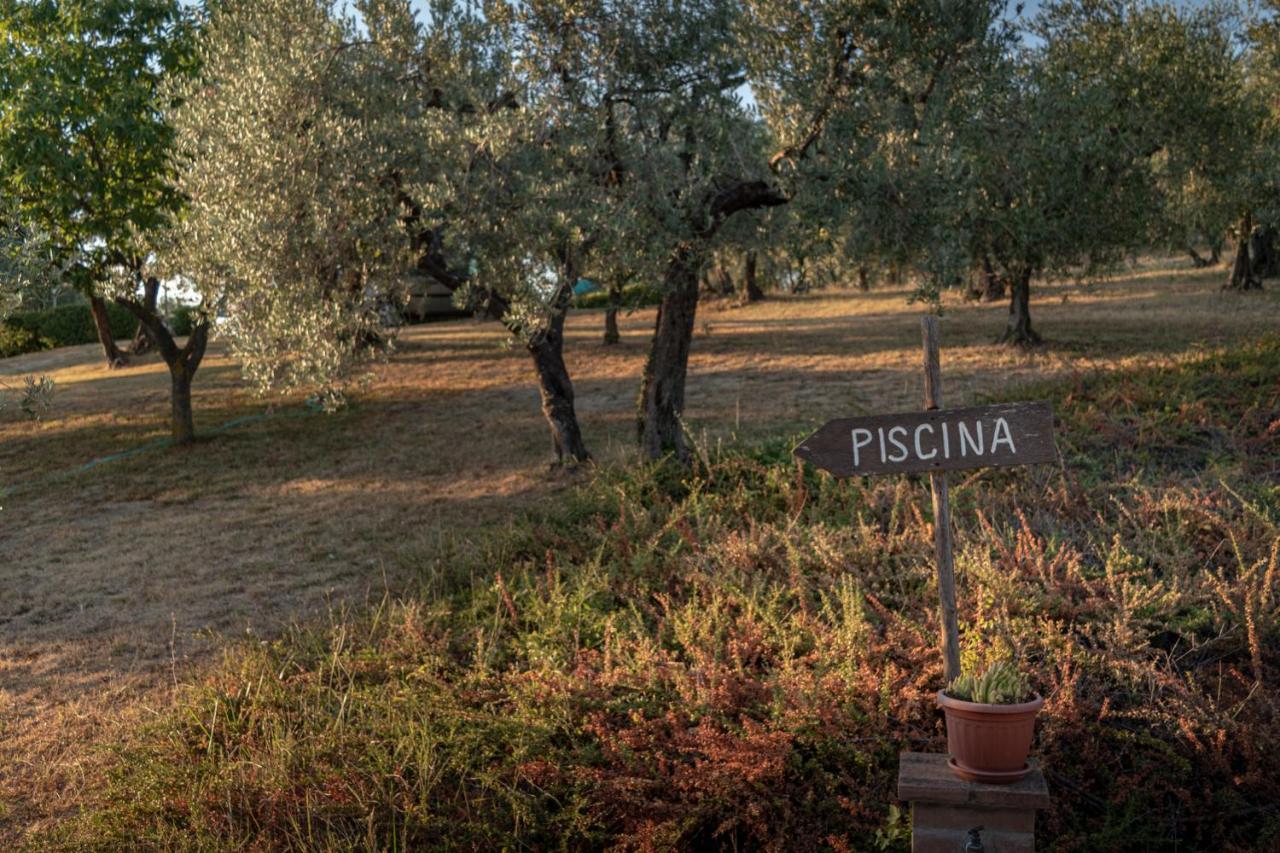 Petrignano Agriturismo La Rocca Assisi מראה חיצוני תמונה